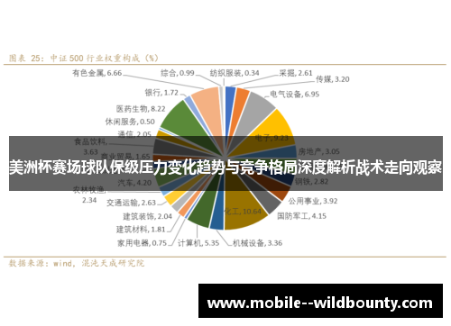 美洲杯赛场球队保级压力变化趋势与竞争格局深度解析战术走向观察