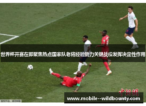 世界杯开赛在即聚焦热点国家队老将经验助力关键战役发挥决定性作用
