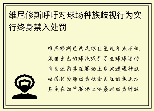维尼修斯呼吁对球场种族歧视行为实行终身禁入处罚