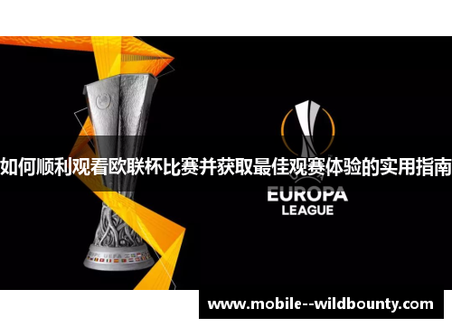 如何顺利观看欧联杯比赛并获取最佳观赛体验的实用指南