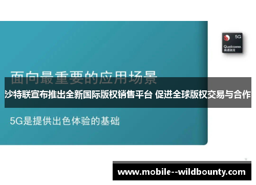 沙特联宣布推出全新国际版权销售平台 促进全球版权交易与合作